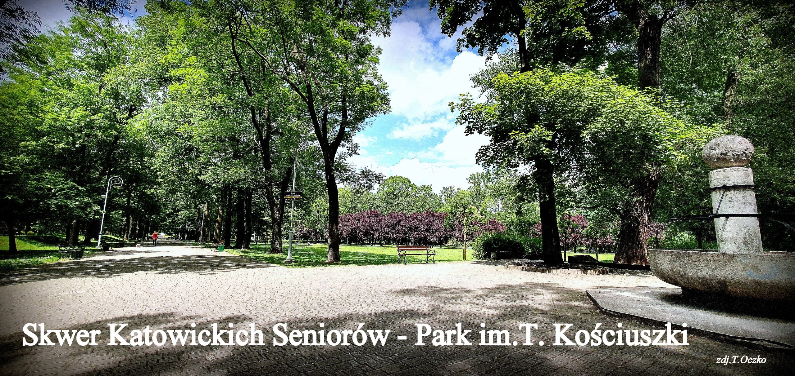 Zdjęcie nagłówkowe Rady Seniorów Katowice